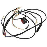 Wiring Harness For Rec Registration