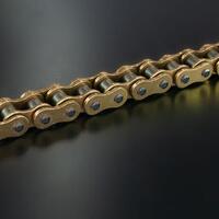 RK 525ZXW x 130L XW Ring Chain Gold RL