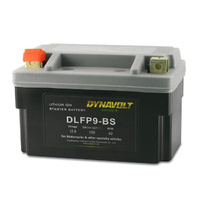 Power Dynalife Lithium IOM Battery DLFP5Z-S