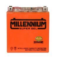 Millennium YT20-4 Super Igel Powervolt Motorcycle Battery 12V Sealed (YTX20-BS)