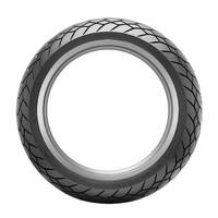 Dunlop Mutant Sport Touring Motorcycle Tyre Rear -190/55ZR17 M+S