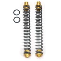 Two Brothers Racing Havy Duty Fork Spring Kit XR50R