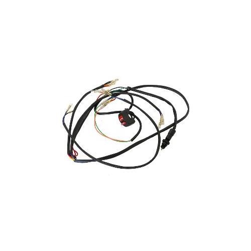 Wiring Harness For Rec Registration