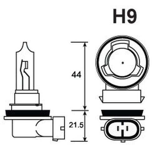 H9 (1) Motorcycle Halogen Bulb 12V 65W