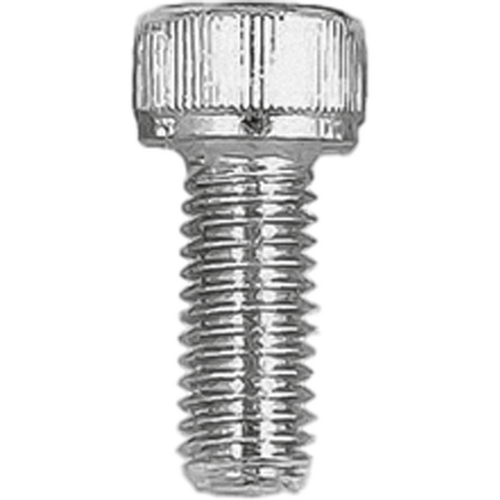 Allen Motorcycle Screws 8 X 20Mm (25/Bag)